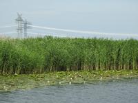 Grachtenfahrt Nordfriesland 