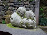 Jardim Tropical - Monte Palace