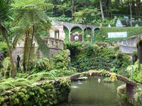 Jardim Tropical - Monte Palace