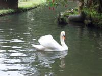 Jardim Tropical - Monte Palace