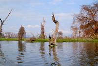 Bootstour Lake Naivasha (3)