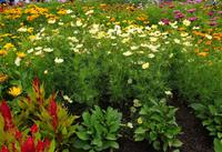 035_Buga ega Gelände