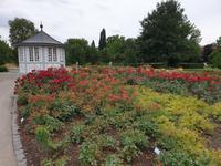 040_Rosengarten Bad Langensalza