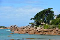 an der rosa Granitküste (Cote de Granit Rose)