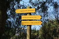 jetzt wird's steinig