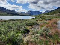 Fahrt von Geiranger nach Lom...