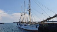 im Hafen von Helgoland