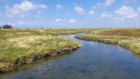 Blick zur Kirchwarft auf Hallig Hooge