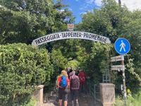 Bald sind wir in Meran