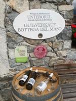 Im Weingut Unterortl