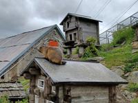 Am Grimselpass 