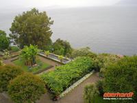 Garten auf der Isola Madre