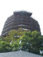 DSCN5021  Baumwipfelpfad