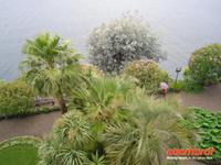 Garten auf der Isola Madre