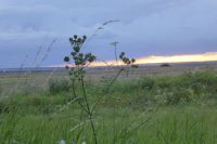 Tag 1 Anreise, Abendstimmung