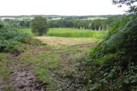 Tag 3 Wanderung im Wald von Brocéliande