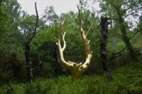 Tag 3 Wanderung im Wald von Brocéliande, Der goldene Baum vom Francois Davin