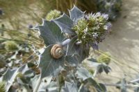 Tag 5 Strandwanderung zum Leuchtturm von Eckmühl