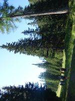 Single-Wanderreise Brenta-Dolomiten & Trentino – Nord-Italien (167).JPG