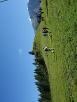 Single-Wanderreise Brenta-Dolomiten & Trentino – Nord-Italien (174).JPG