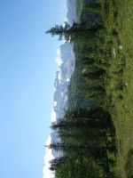 Single-Wanderreise Brenta-Dolomiten & Trentino – Nord-Italien (190).JPG