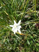 Single-Wanderreise Brenta-Dolomiten & Trentino – Nord-Italien (198).JPG