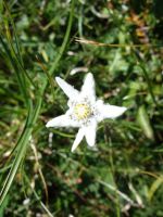 Single-Wanderreise Brenta-Dolomiten & Trentino – Nord-Italien (202).JPG