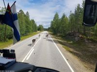 Rentiere in Lappland