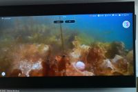 Lofoten - Rundfahrt zum Raftsund und Trollfjord - Unterwasser-Drohne