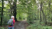 Wandern zu den Externsteinen.jpg