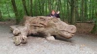 Drachen an den Externsteinen.jpg