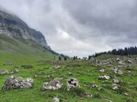 Wanderung auf der Schwägalp