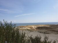 0311 Kurische Nehrung 