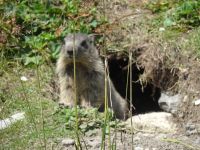 .. schauen uns interessiert an.