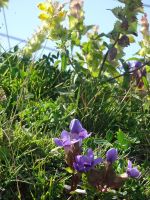 ... tollen Farben...