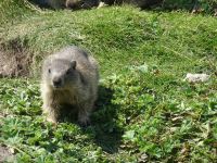 ... und immer aufmerksamen Betrachtern.