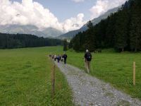Engelberg, Wanderung entlang des Blumenweges
