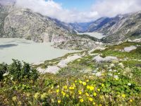 Grimselpass, Blick auf den  Räterichsbodensee