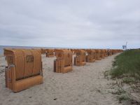 Inselrundfahrt Poel - Timmendorf Strand