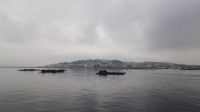 Blick auf O Grove