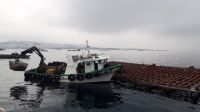 Muschelbank vor O Grove