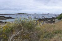 Tag 4 Bootsfahrt nach Chausey