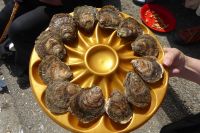 Tag 5 Austernessen in Cancale