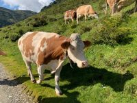 120 5. Etappe von Hochfügen zum Melchboden