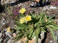 143 5. Etappe von Hochfügen zum Melchboden