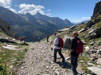 229 Abstieg ins Pfitschtal