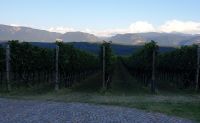 0508 Weinprobe