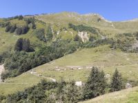 Unterwegs in der Brienzer Rothornbahn