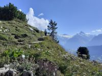 Zu Besuch auf der Schynige Platte