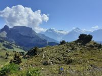 Zu Besuch auf der Schynige Platte